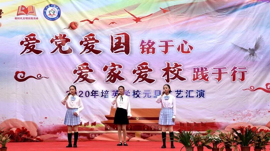 茶叶问答 | 滇红茶（大叶种红茶）与金骏眉（小叶种红茶）的区别